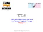 Chemistry 501 Handout 14 Glycolysis, Gluconeogenesis, and the Pentose Phosphate Pathway Chapter 14 - slide 1