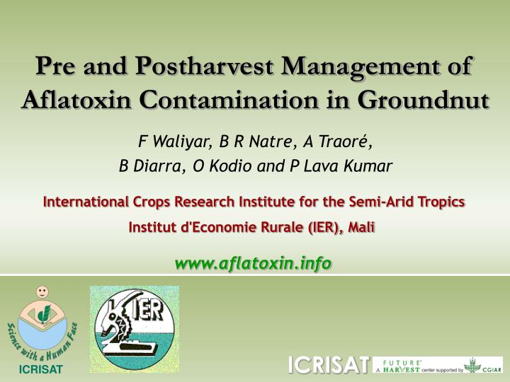 pre and postharvest management of aflatoxin contamination in groundnut
