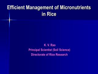 Efficient Management of Micronutrients in Rice
