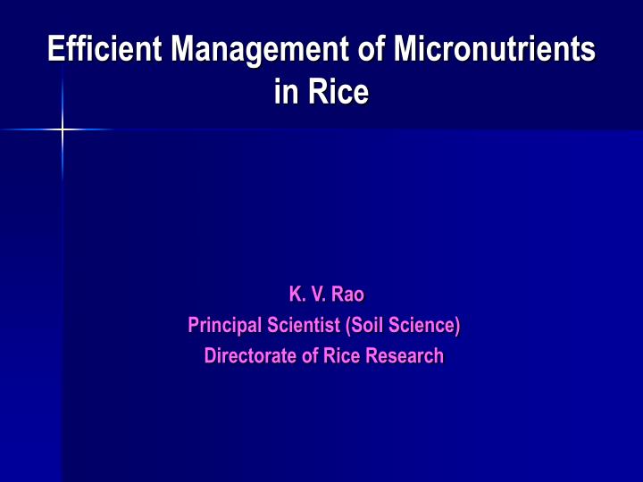 efficient management of micronutrients in rice