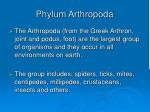 Phylum Arthropoda - slide 1