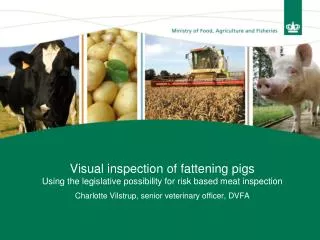 Visual inspection of fattening pigs Using the legislative possibility for risk based meat inspection Charlotte Vilstrup,
