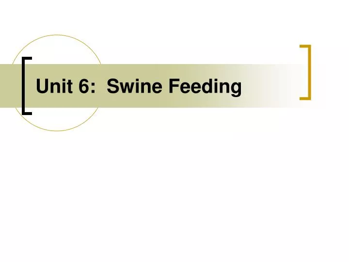 unit 6 swine feeding