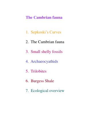The Cambrian fauna 1. Sepkoski’s Curves 2. The Cambrian fauna 3. Small shelly fossils 4. Archaeocyathids 5. Trilobit