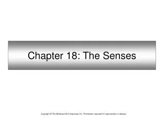Chapter 18: The Senses