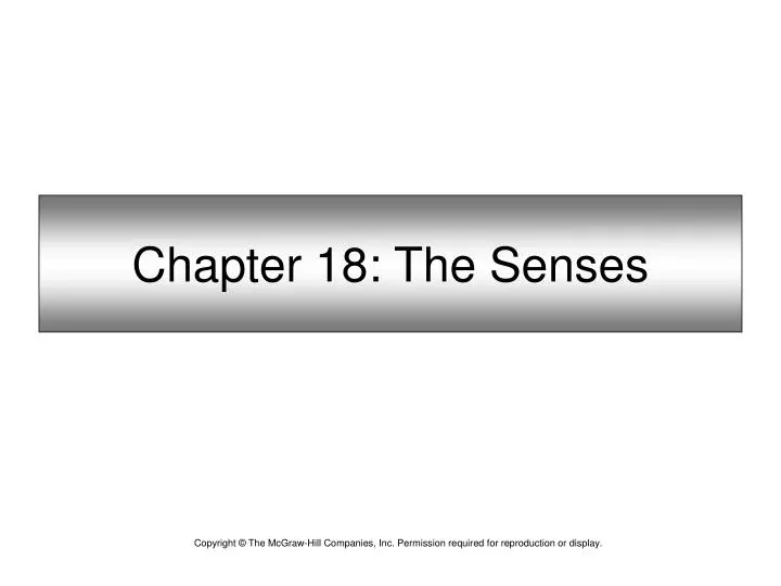 chapter 18 the senses