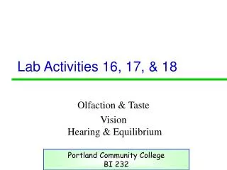 Lab Activities 16, 17, &amp; 18