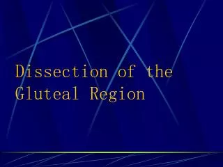 Dissection of the Gluteal Region