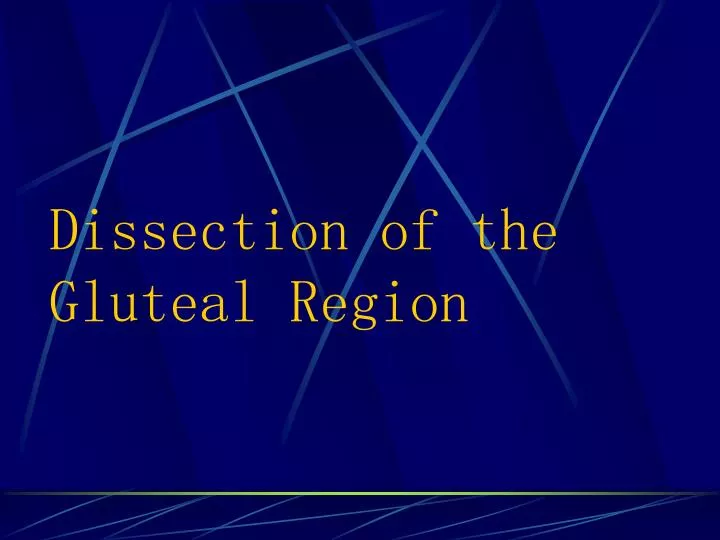 dissection of the gluteal region