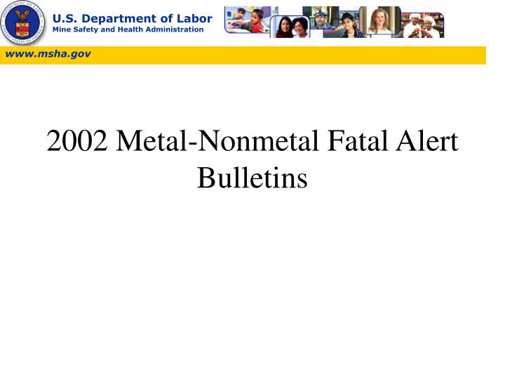 2002 metal nonmetal fatal alert bulletins