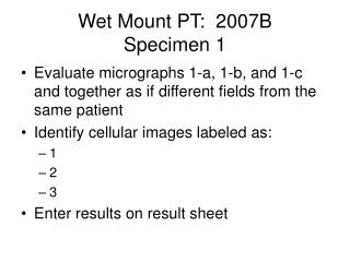 Wet Mount PT: 2007B Specimen 1