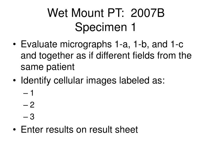 wet mount pt 2007b specimen 1