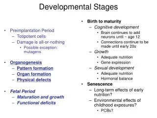 Developmental Stages