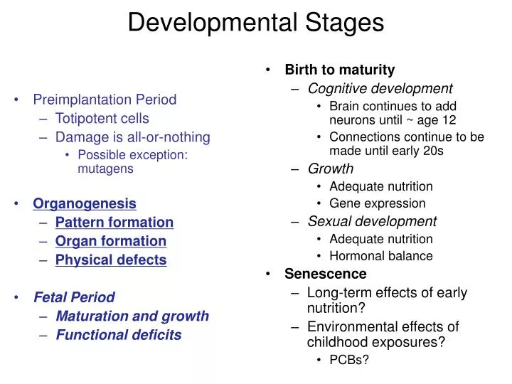 developmental stages