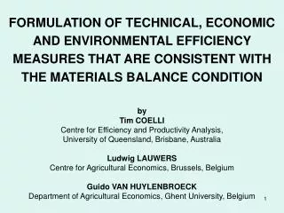 FORMULATION OF TECHNICAL, ECONOMIC AND ENVIRONMENTAL EFFICIENCY MEASURES THAT ARE CONSISTENT WITH THE MATERIALS BALANCE