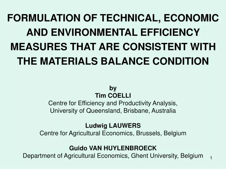 PPT - FORMULATION OF TECHNICAL, ECONOMIC AND ENVIRONMENTAL EFFICIENCY ...