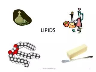 LIPIDS