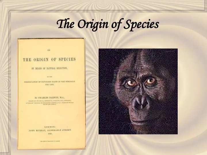 the origin of species