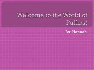 Welcome to the World of Puffins!