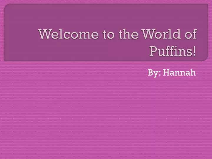 welcome to the world of puffins