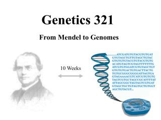 Genetics 321
