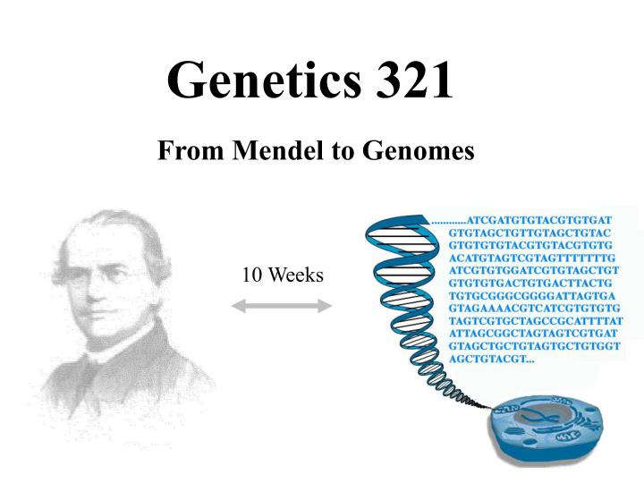 genetics 321