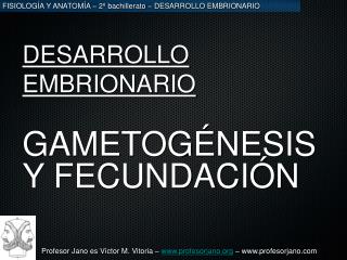 desarrollo embrionario