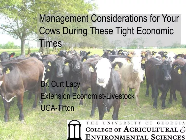 management considerations for your cows during these tight economic times