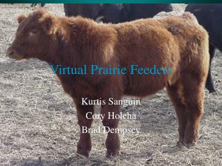 Virtual Prairie Feeders