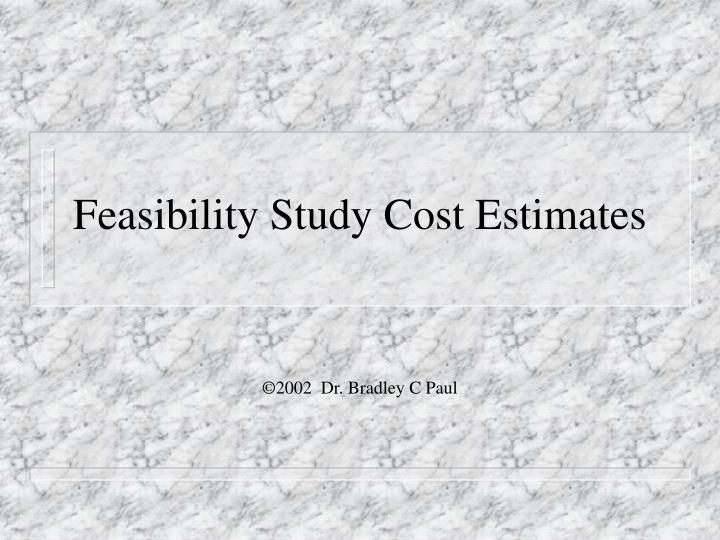 feasibility study cost estimates
