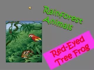 rainforest animals vinicius