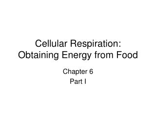 Cellular Respiration: Obtaining Energy from Food