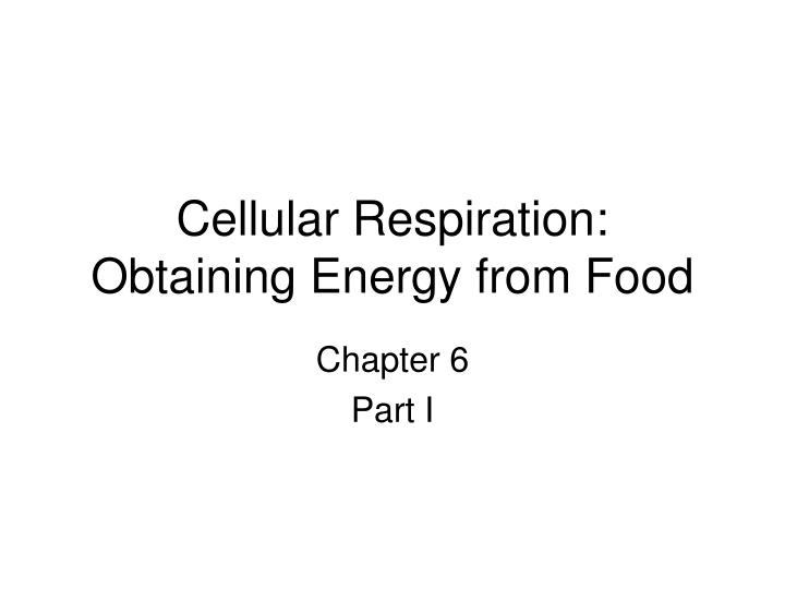 cellular respiration obtaining energy from food
