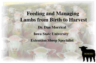 Dr. Dan Morrical Iowa State University Extension Sheep Specialist
