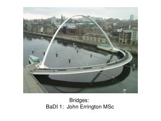 Bridges: BaDI 1: John Errington MSc
