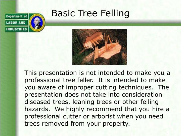 basic tree felling