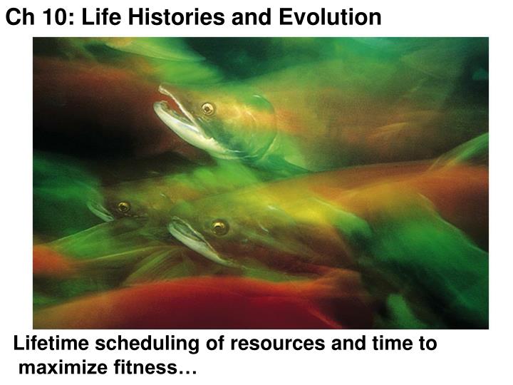 ch 10 life histories and evolution