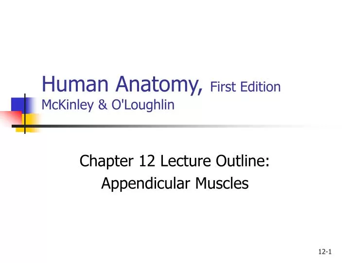 human anatomy first edition mckinley o loughlin