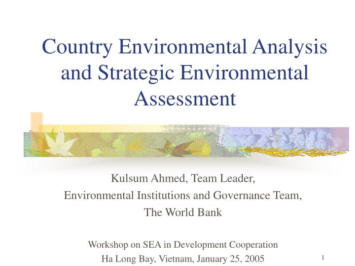 country environmental analysis and strategic environmental assessment