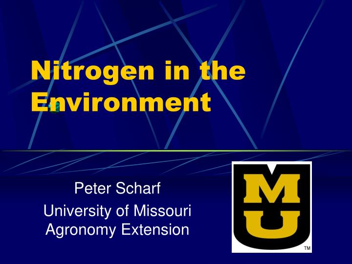 nitrogen in the environment
