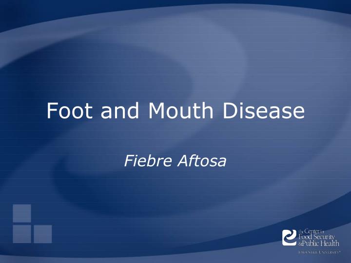 foot and mouth disease