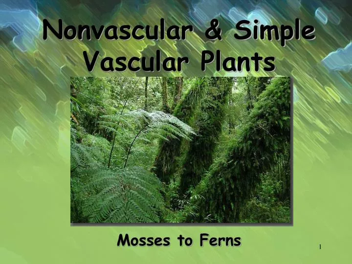 nonvascular simple vascular plants
