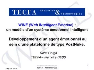 Dorel Gorga TECFA – mémoire DESS