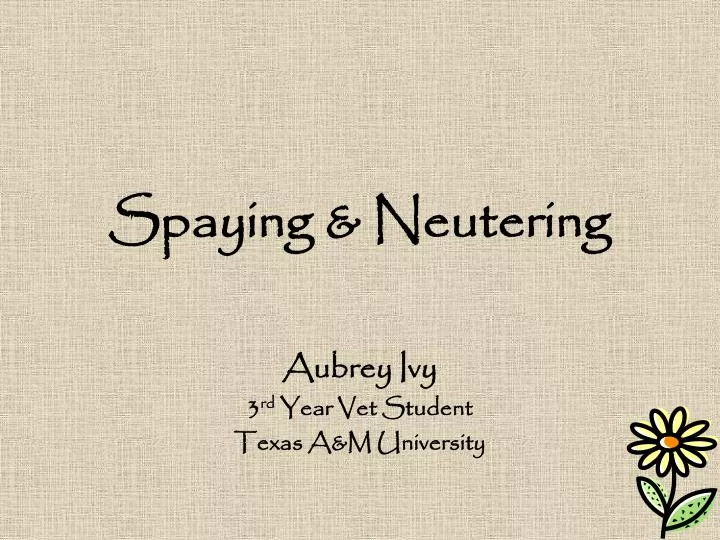 spaying neutering