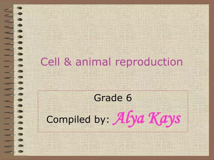 cell animal reproduction