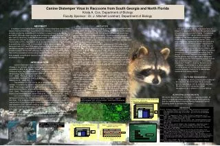 Canine Distemper Virus in Raccoons from South Georgia and North Florida Krista A. Cox, Department of Biology