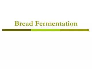 Bread Fermentation