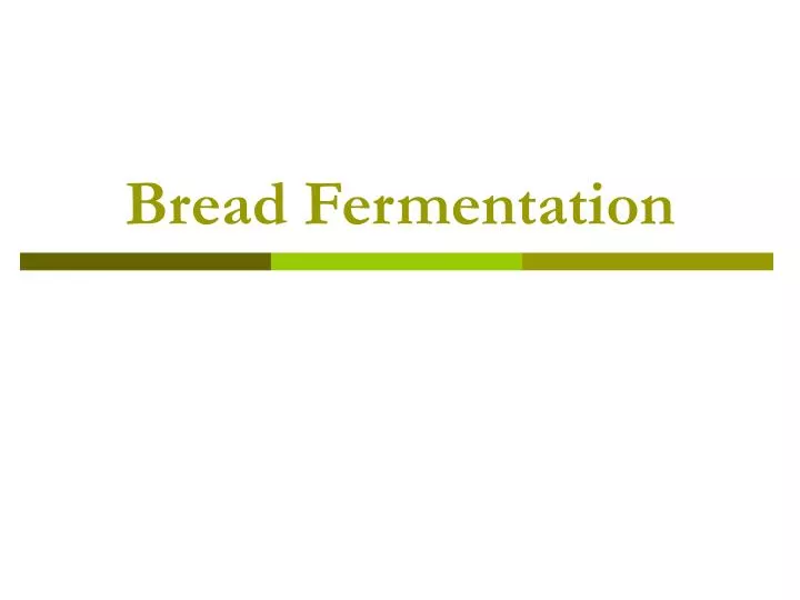 bread fermentation