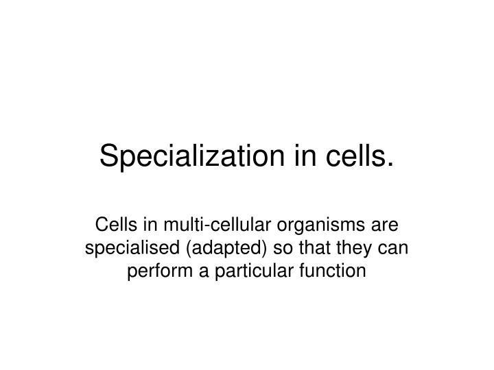 specialization in cells