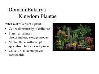 Domain Eukarya 	Kingdom Plantae